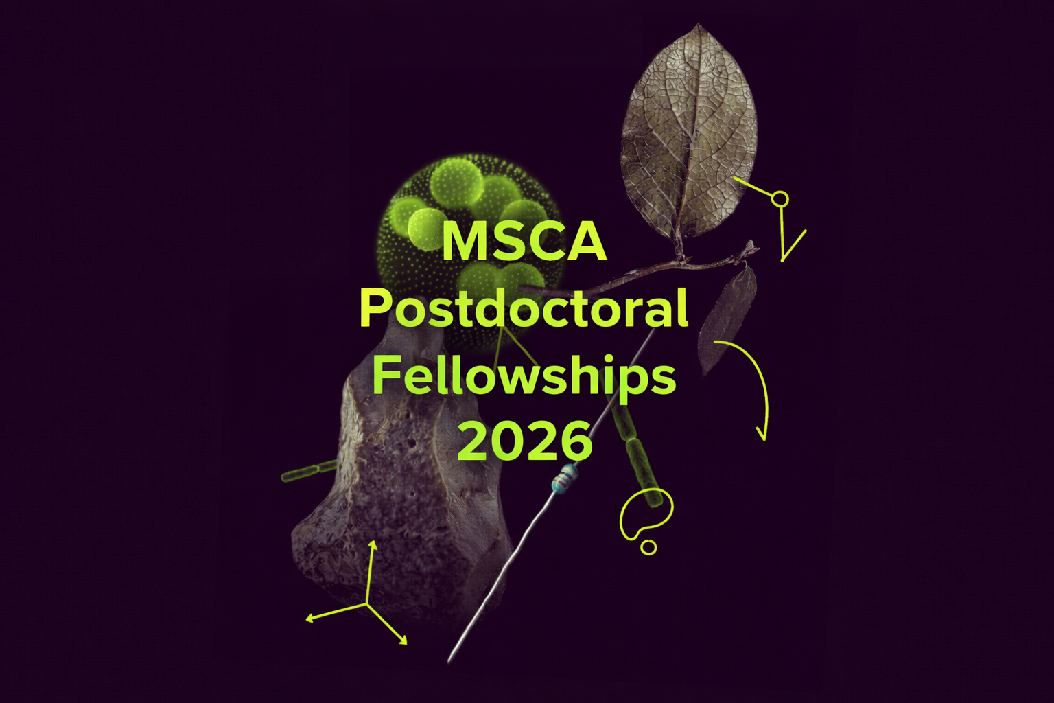 MSCA PF 2026 call open 1