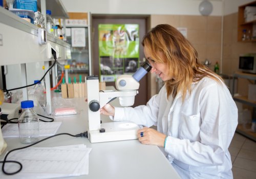 Valuable Plant Extracts and Probiotics to Save Bees