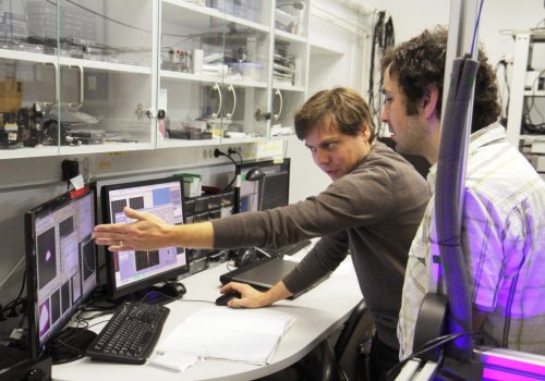 FAMO Laboratories – Extensive Research in Physics