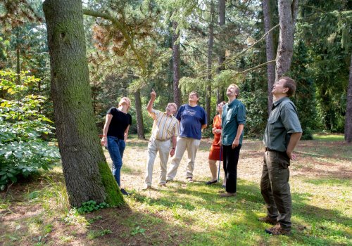 Climate Change: How Trees Adapt